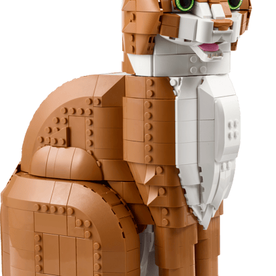 LEGO Orange Cat — set 21376